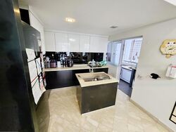 Parc Palais (D21), Condominium #469333301